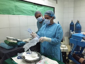 IMG_1242